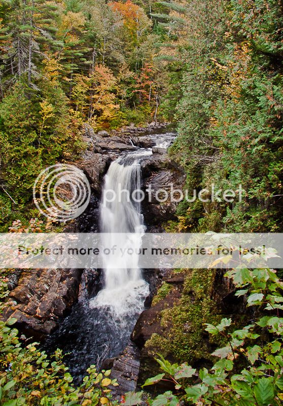IMG_4837-Edit-Edit_zps079cf7ea.jpg