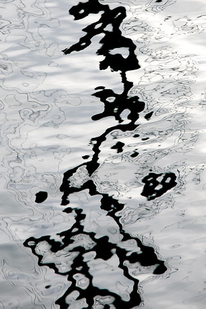 452682802_jGmtA-M-1.jpg