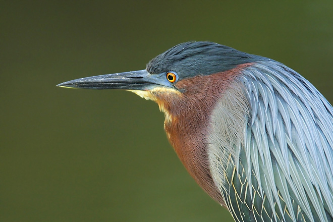 CRW_2416.jpg