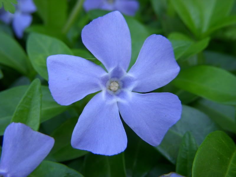 DSCN0815.jpg