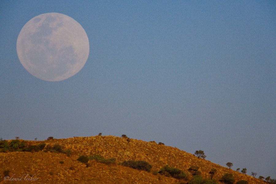 Highveld_moonrise_by_philosomatographer.jpg