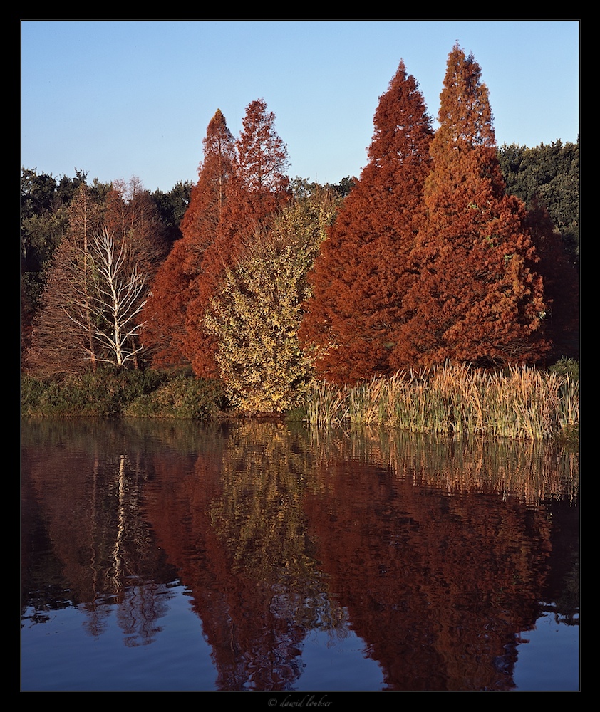 Autumn_on_the_shoreline_by_philosomatographer.jpg