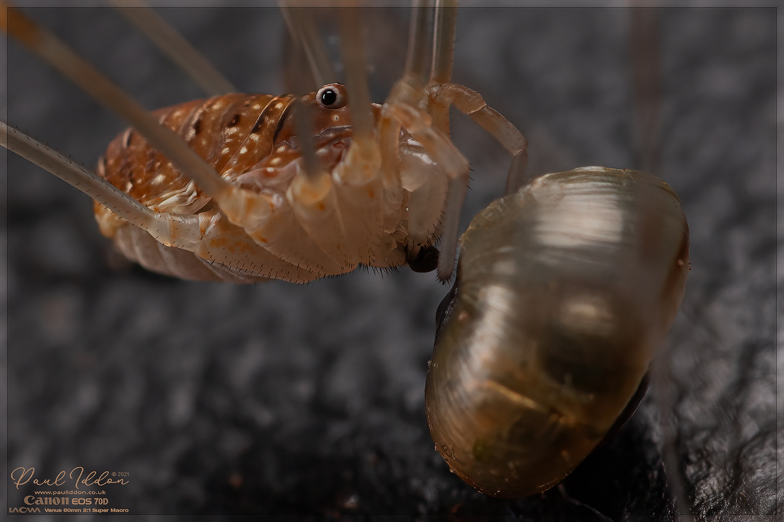 eat8_4k_1800-X3.jpg