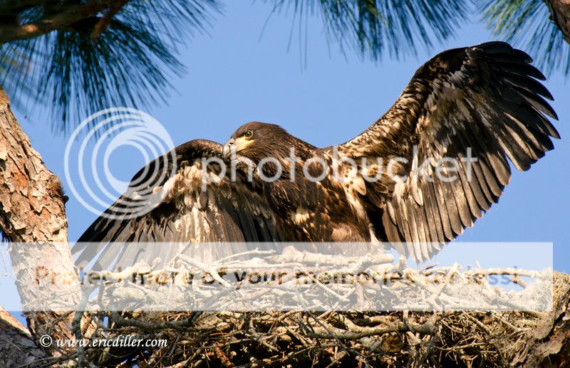 ECD_9944copy.jpg