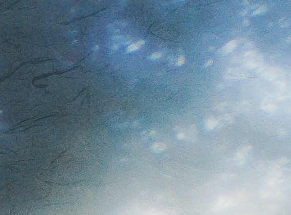4444162536_a26069315c_o.jpg
