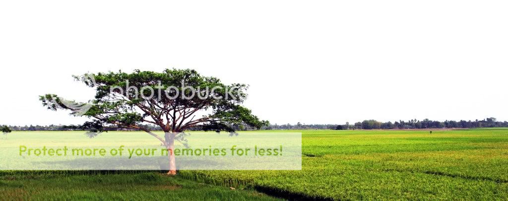 ashik_pic14-1.jpg