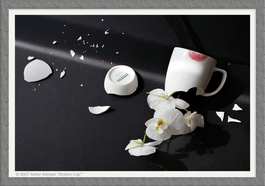 _MG_5604_Broken_cup_OPF
