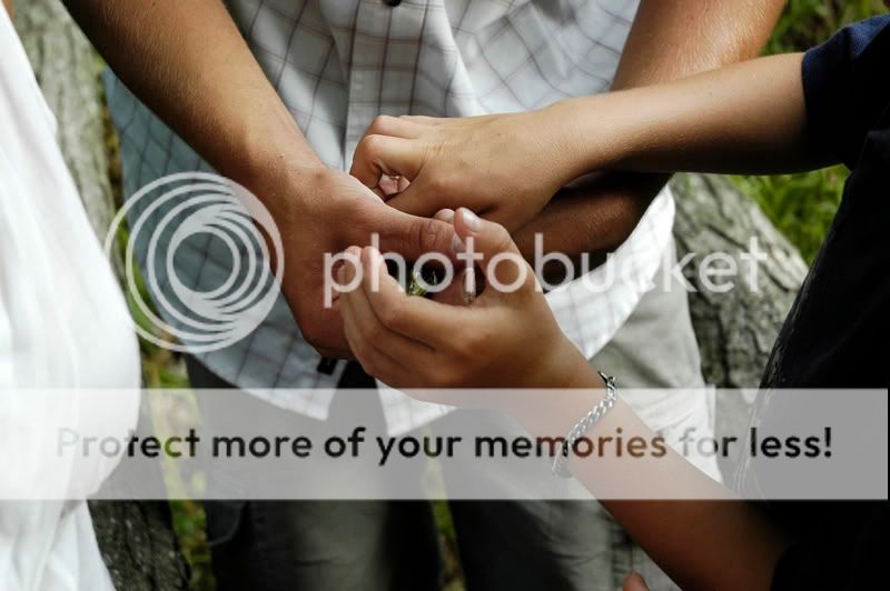handoff-original-800.jpg