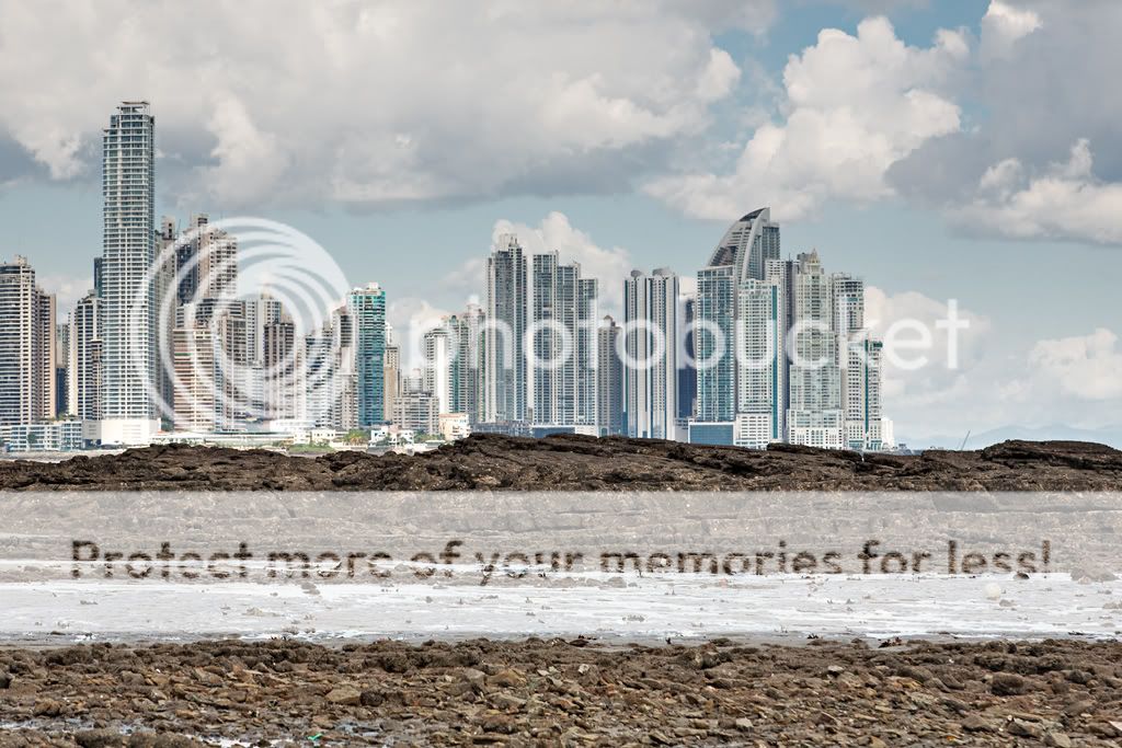 _MG_7055_web.jpg