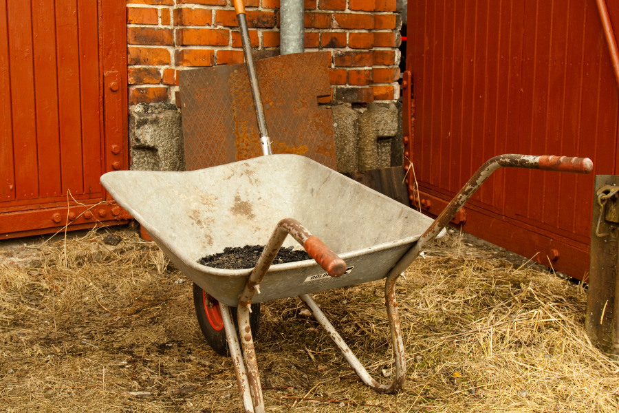 _img900.jpg