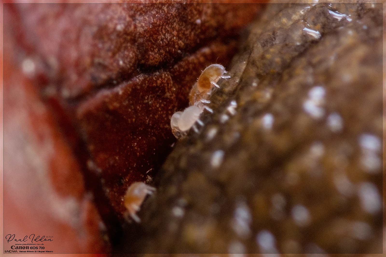 sluglife05_4k_1800-X3.jpg