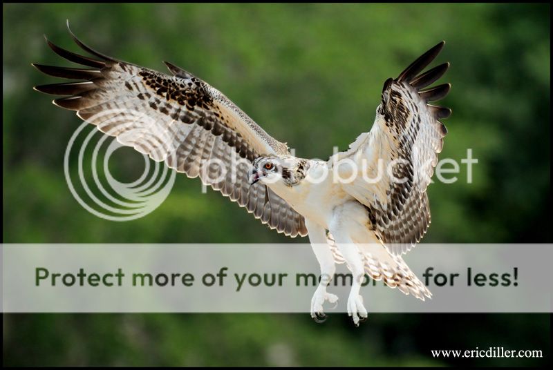 PIC_6559copy.jpg