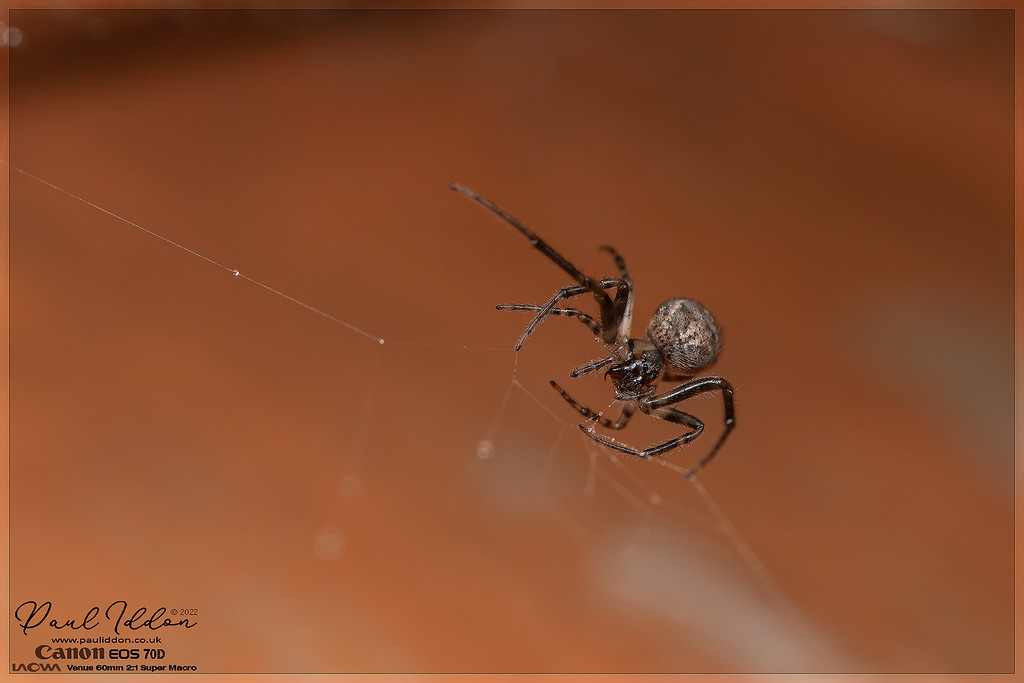 sectordroplets_4k_1800-XL.jpg