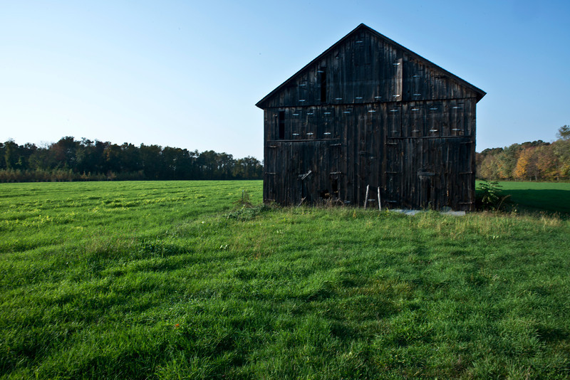 landscapes_0078-L.jpg