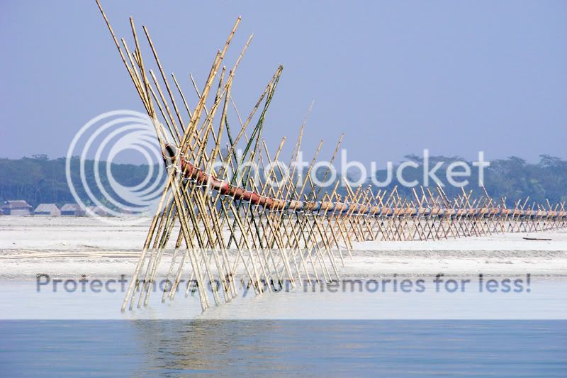 DSCF1690.jpg