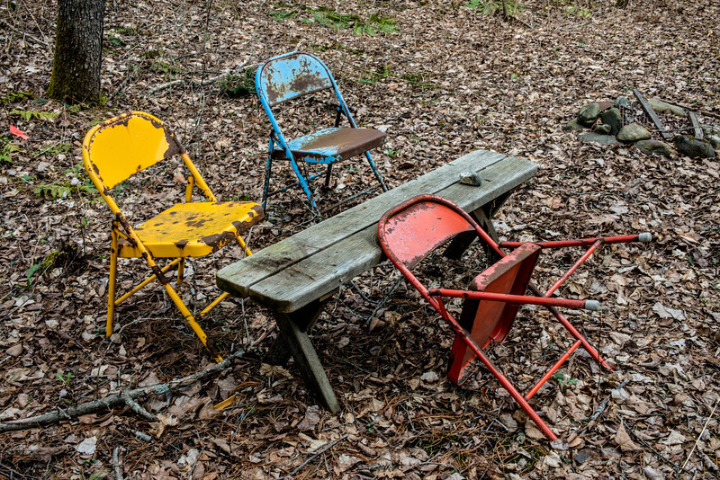 DSC_5679-L.jpg