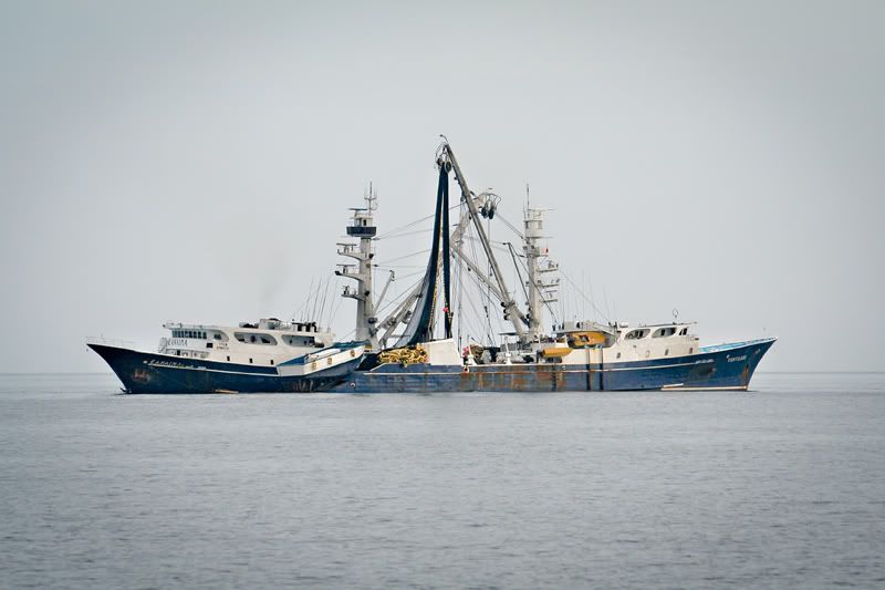 _MG_5582.jpg