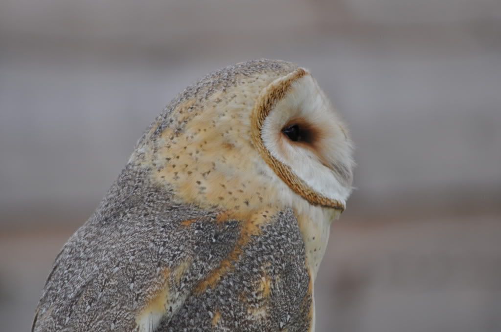 DSC_1021.jpg