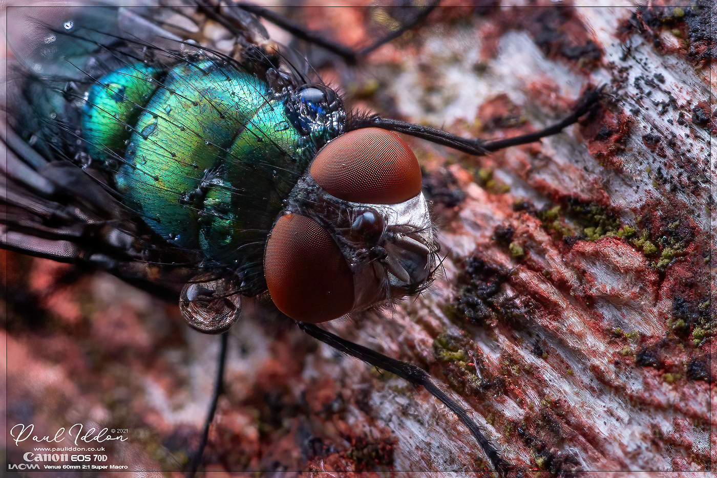 green_bottle_01_AI_Sharp_1400.jpg