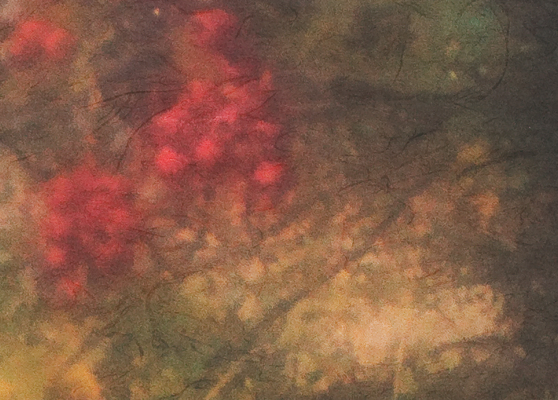4443391059_5f0391af83_o.jpg
