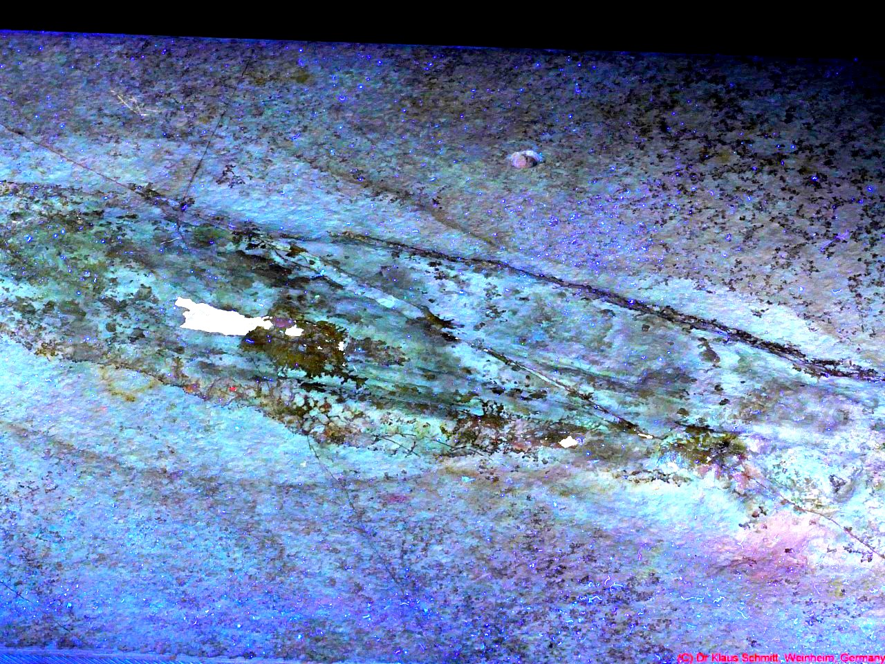 170662167.aNHikNEg.Fossil_2020_UVFL_P1790038a_c.jpg