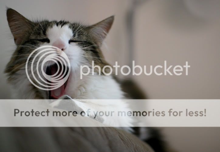 TheloniusYawning1.jpg