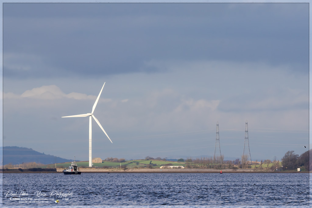 windfarm_b_4k-XL.jpg