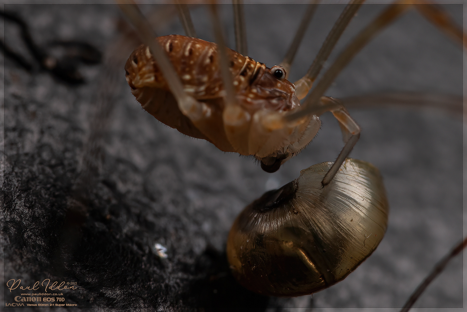eat5_4k_1800-X3.jpg