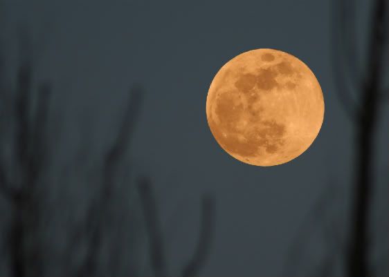 moonforweb-1-1.jpg