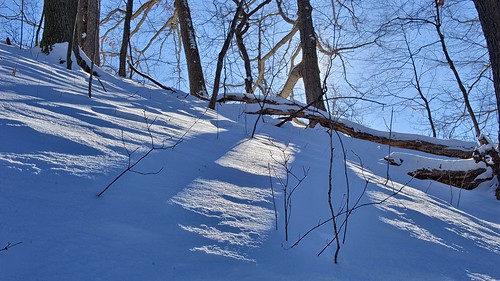 4076348034_f5aaf8a923.jpg