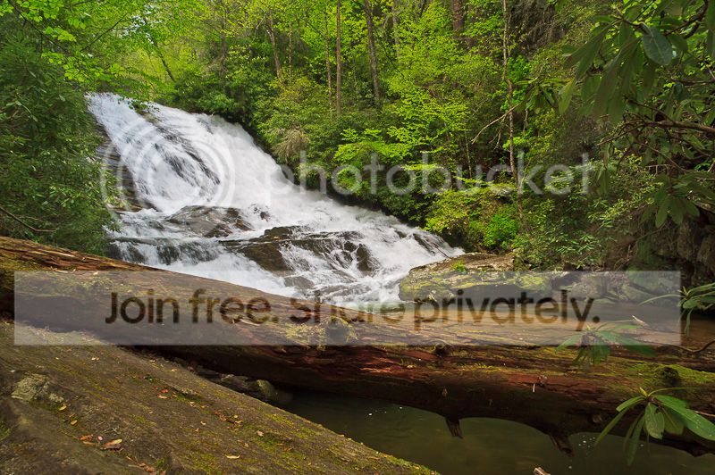 IMG_7362-Edit-2_zpsddff6a02.jpg