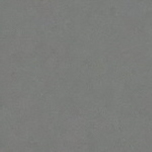 Noise_test_ISO0200-half_size-Q05801-gray-X2.jpg