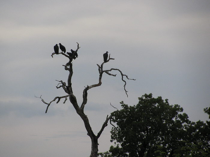 DAK_G02936R700.jpg