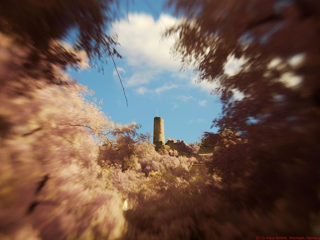 10990096444_1032837ce5_b.jpg