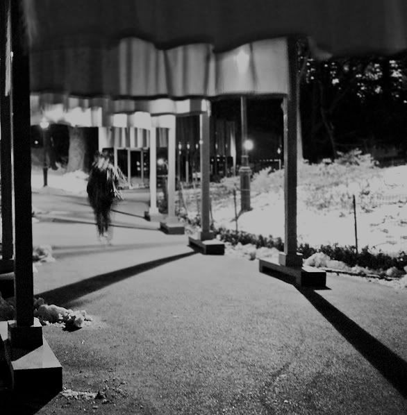 gates_flow_night05BW.jpg