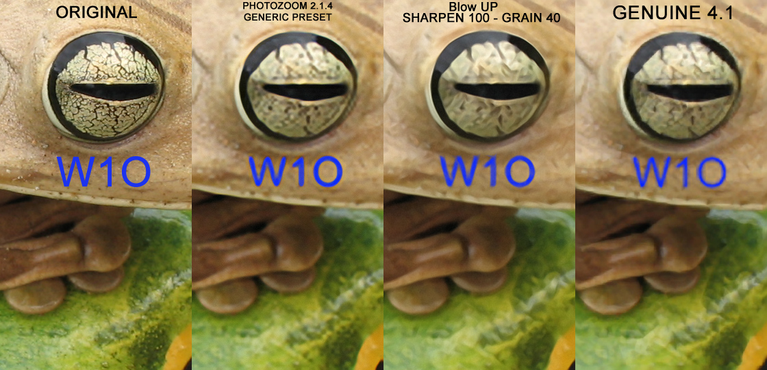 interpolasb7.jpg