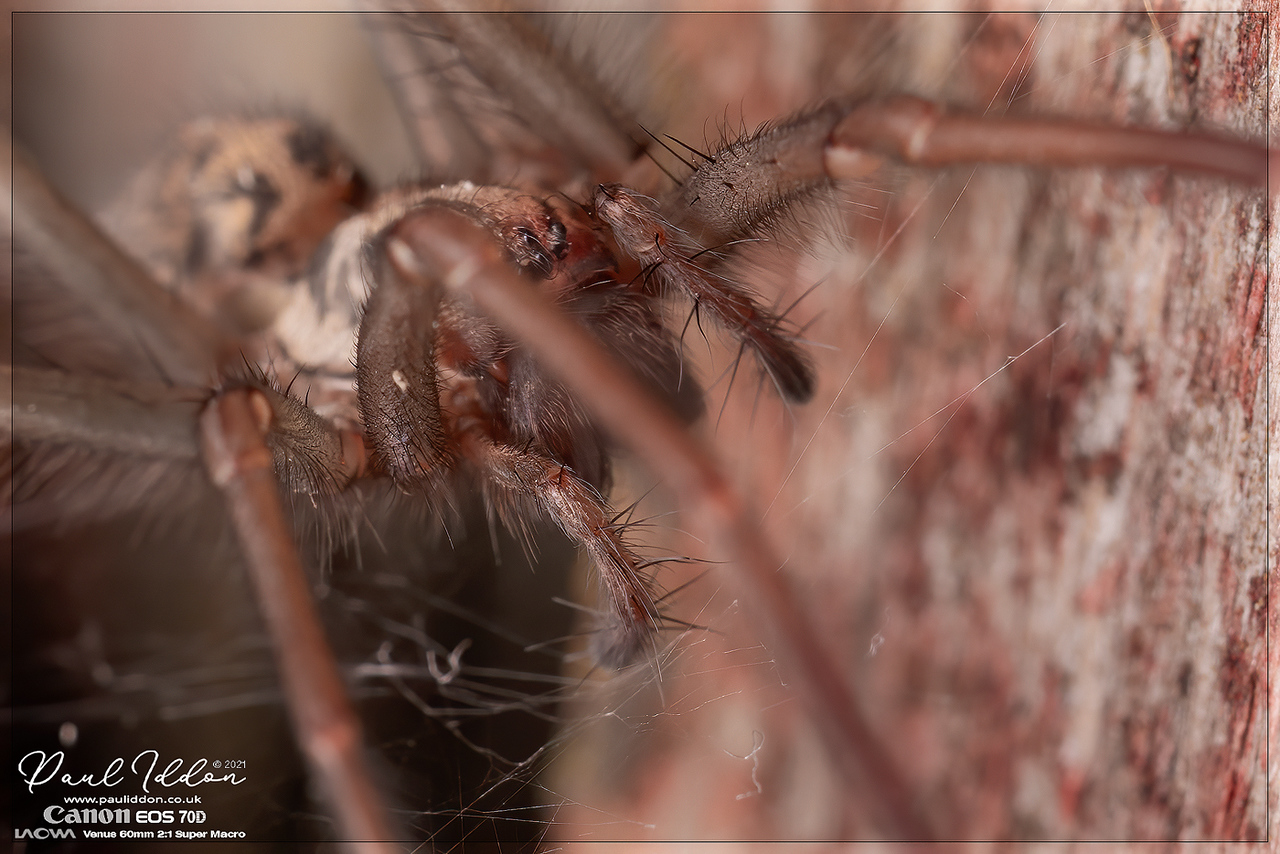 sp04._1400tif-X2.jpg