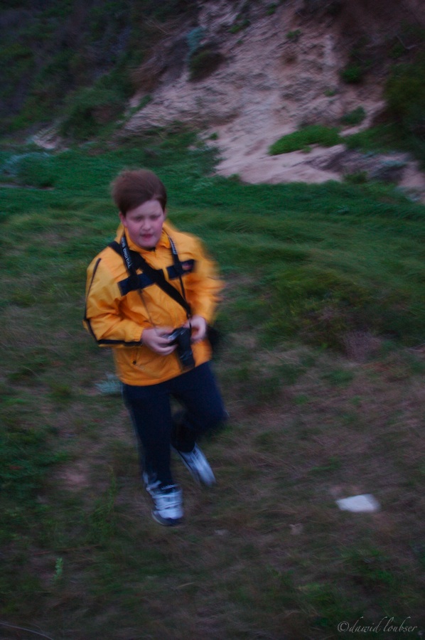 Gale_by_philosomatographer.jpg