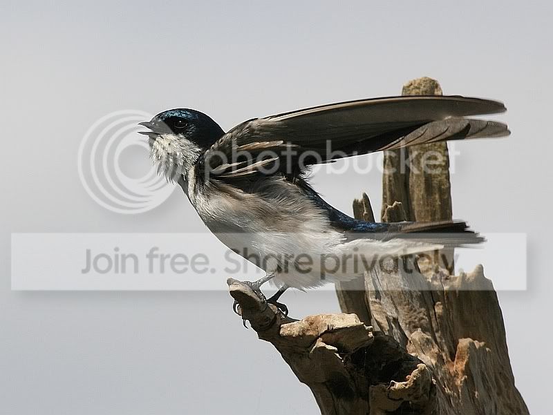 IMG_1551sm.jpg