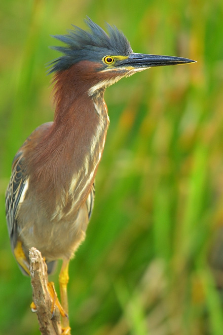 CRW_2337.jpg