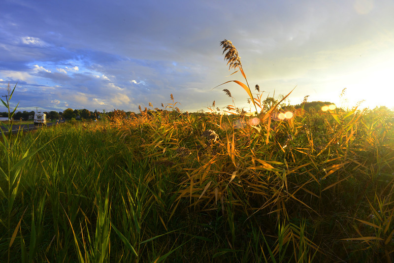 DSC_8364-L.jpg