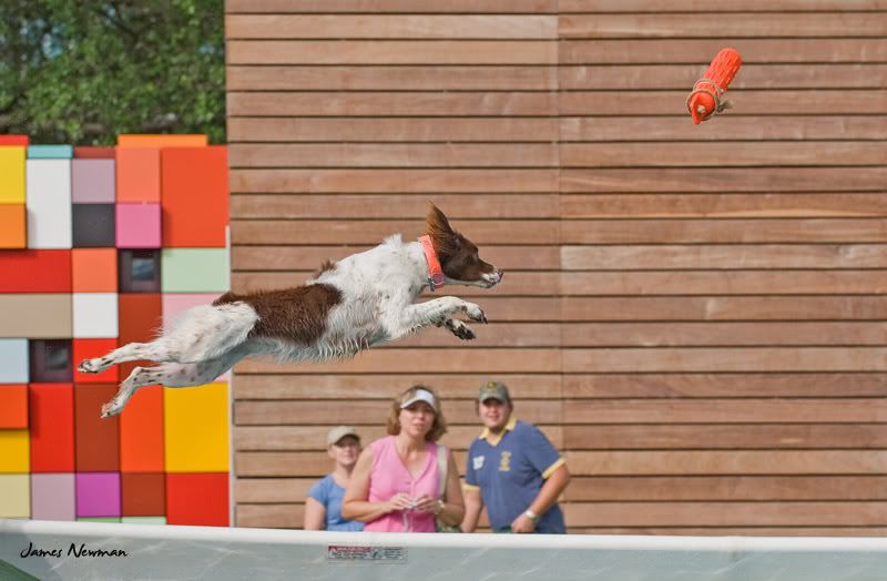 0628_DockDogs_4680.jpg