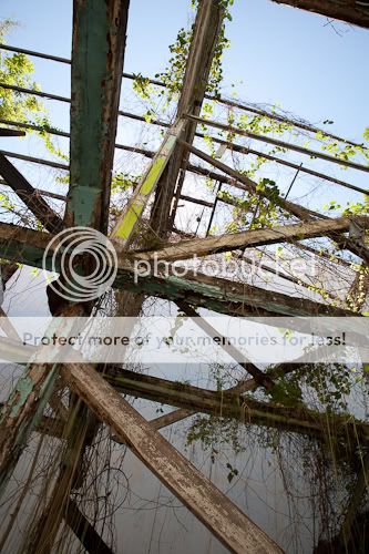 _MG_6270.jpg