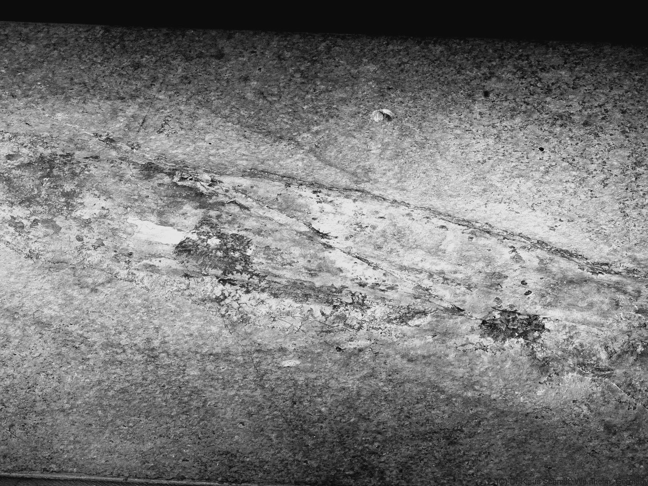 170662166.dQmdetwf.Fossil_2020_UV365bw_P1790008a2_c.jpg
