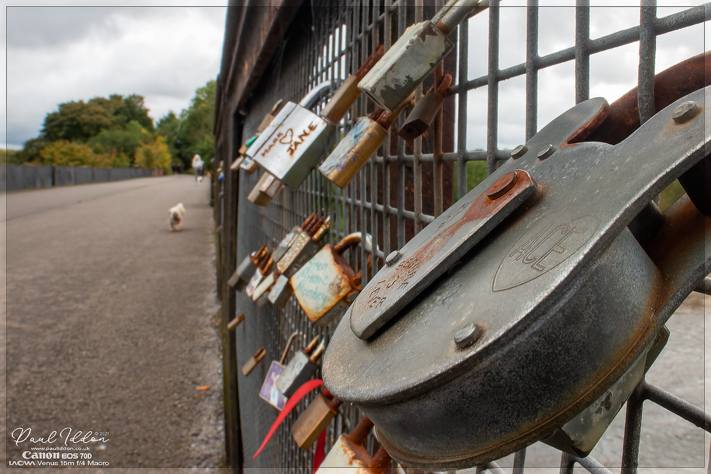 rustypadlock2_4k_1800-XL.jpg