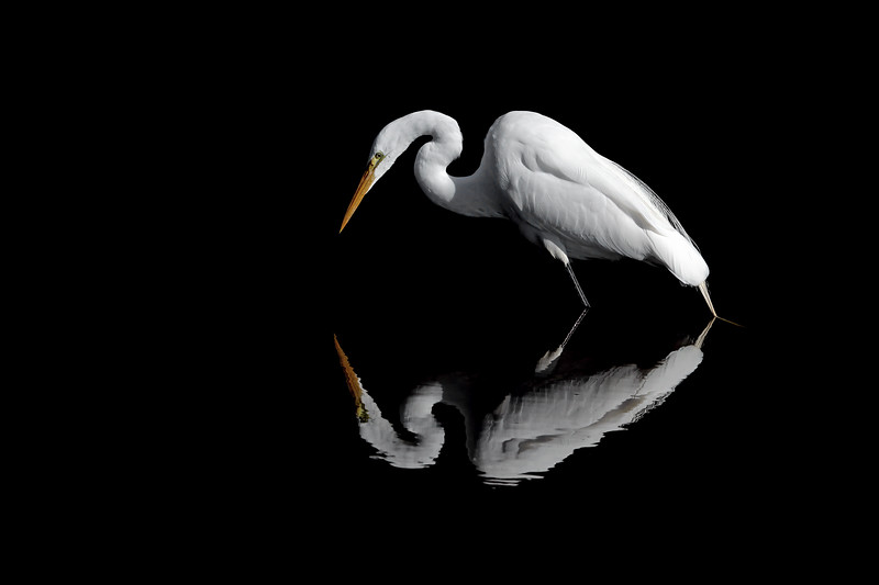 greategret2021-L.jpg