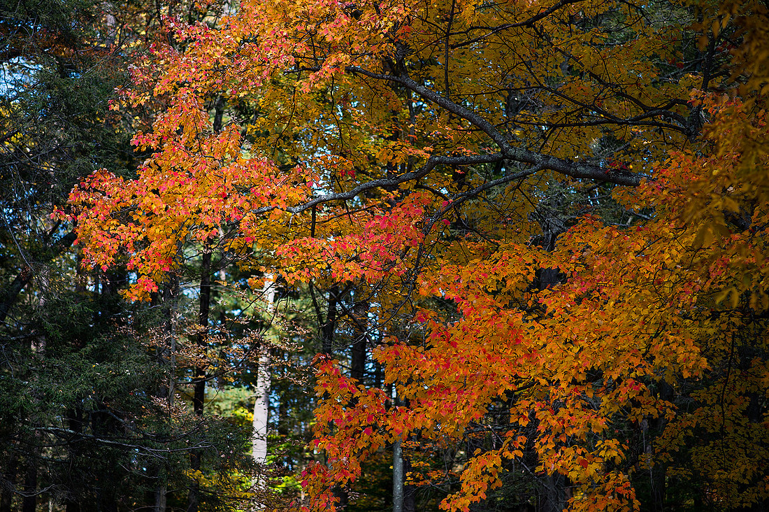 p3209030133-5.jpg