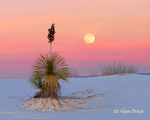 Moonrise-at-White-Sands.jpg