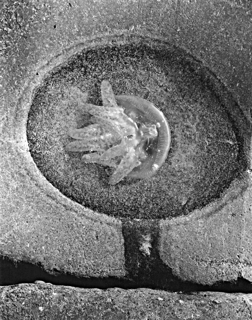 7532024712_094ce25938_b.jpg