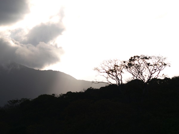 20110216-E3164881.jpg